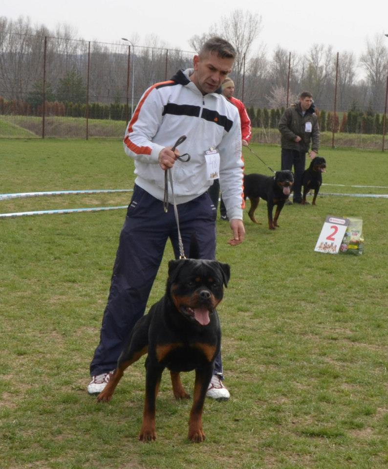 Faryco Terezsky Dvur – Guardian Rottweilers